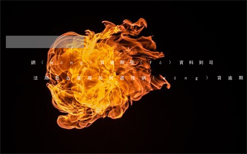 網(wǎng)貸逾期發(fā)資料到司法局怎么處理，如何處理網(wǎng)貸逾期后被發(fā)資料到司法局的情況？